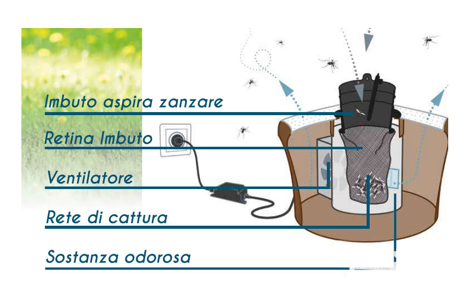 biogents cfg struttura descr