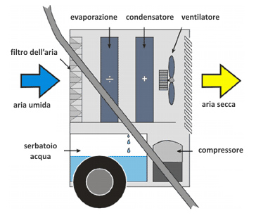 dh44 come funziona