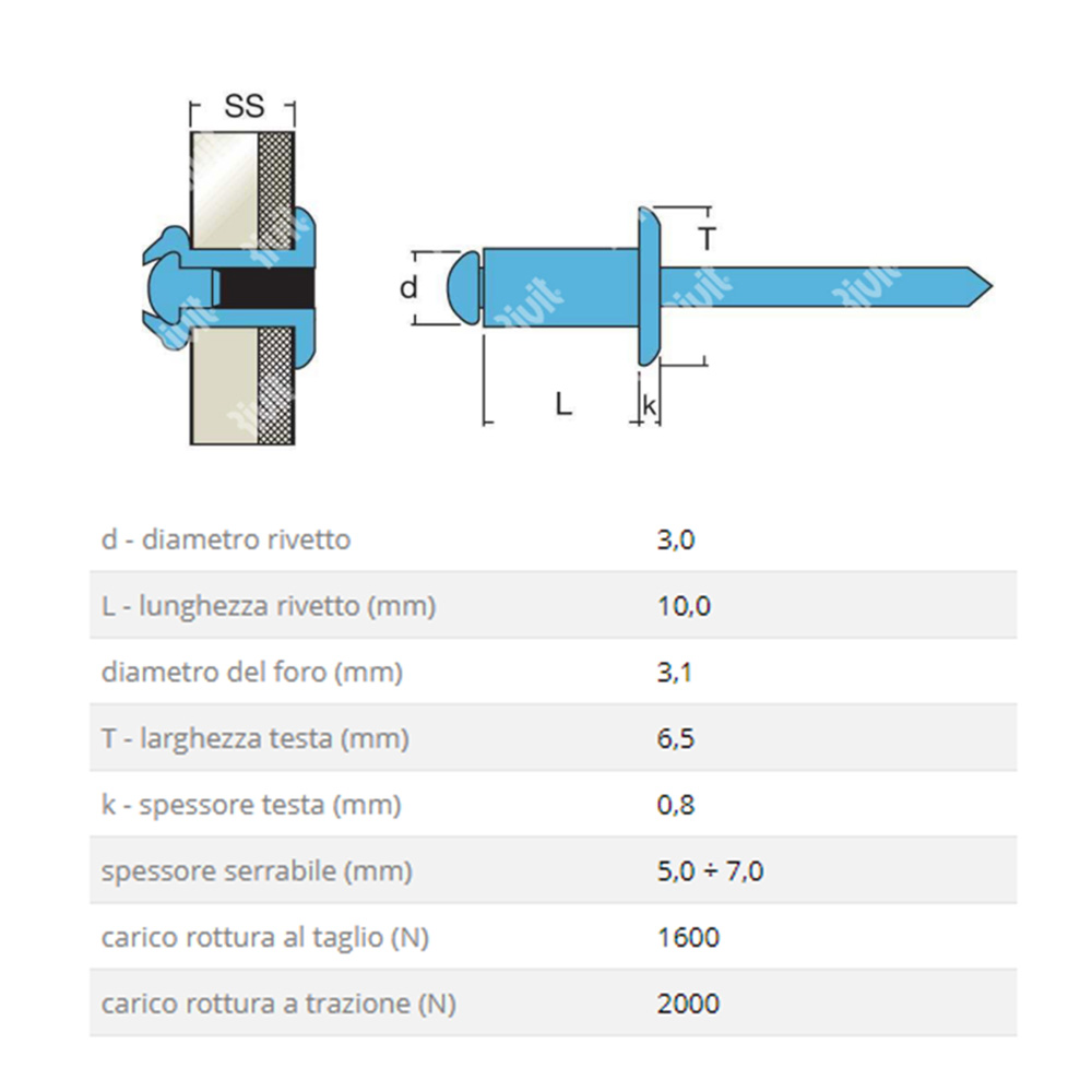 rivetto rivit 1555800 misure descr