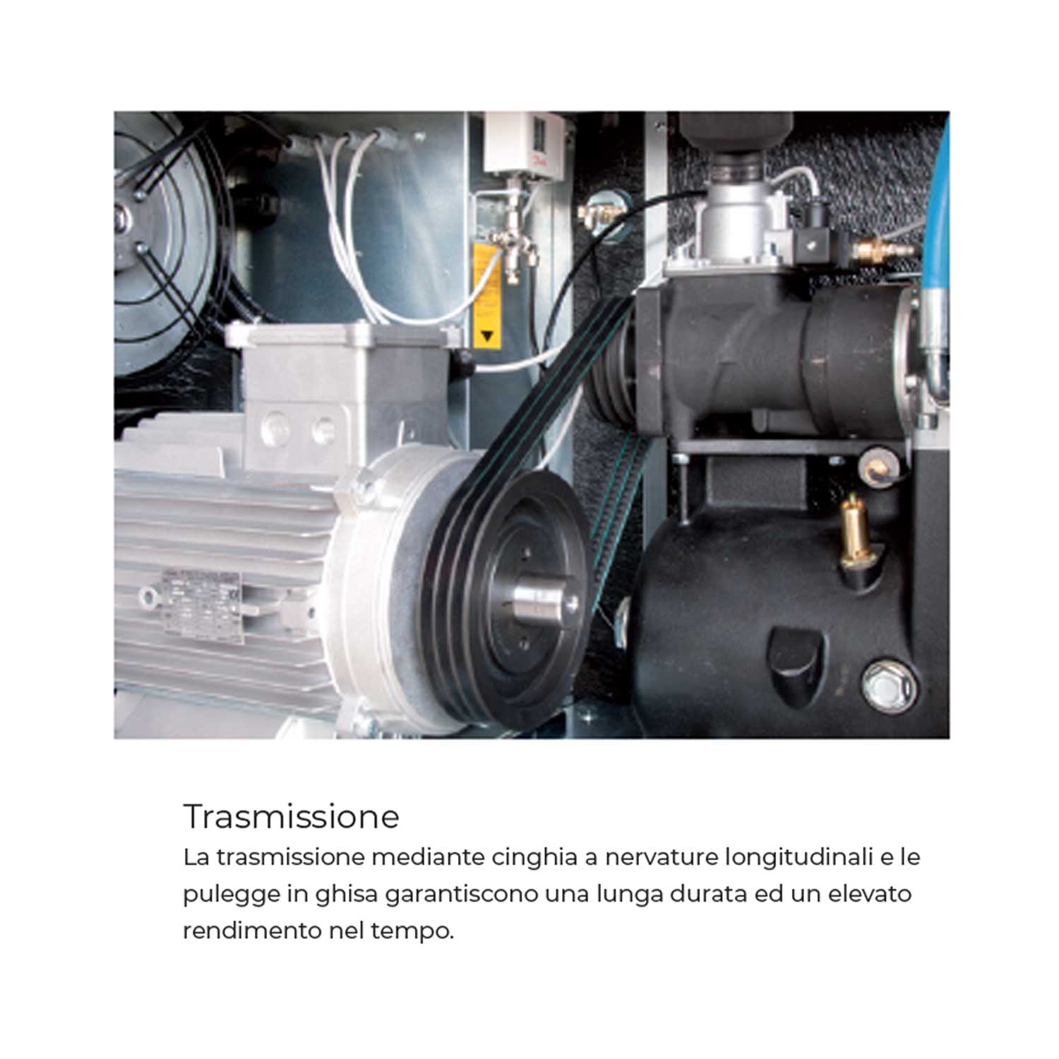 Cintura di trasmissione 1965h8 per essiccatore Bosch