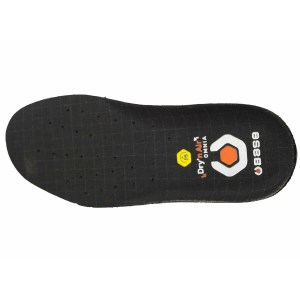 b1501-plantare2
