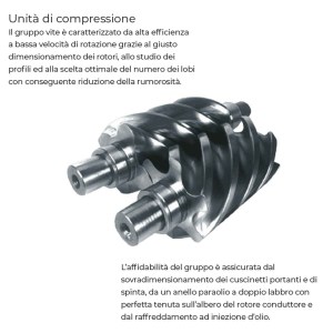 compressore-fiac-newsilent-d-7,5-300-vite