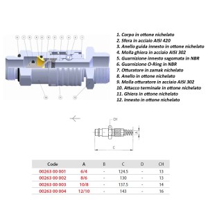 dati-raccordo-aignep-2634