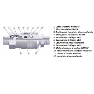 innesto-aignep-252-253-composizione6