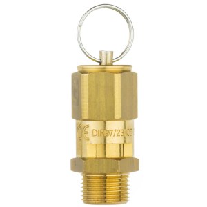 Valvola Di Sicurezza Per Gas - HPLR3A Series - PROTAIS-VIGIL HYDROPNEU TECHNOLOGIC - BSP / NPT - Foto 2